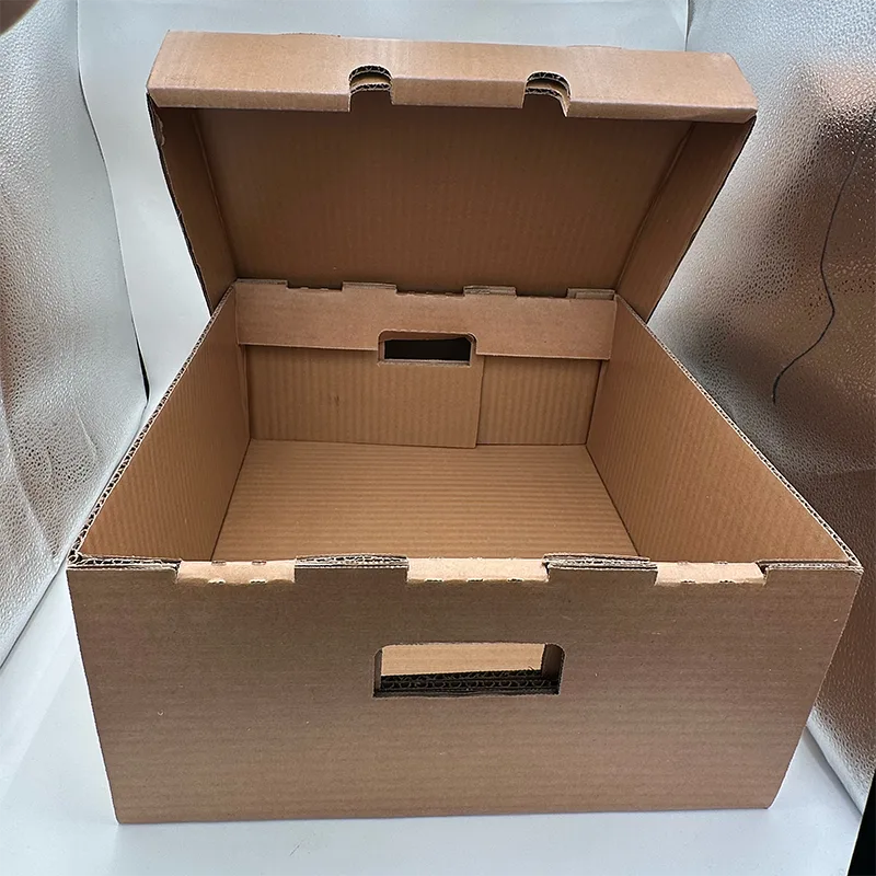 Magnum IMPERVIUS Cardboard Box