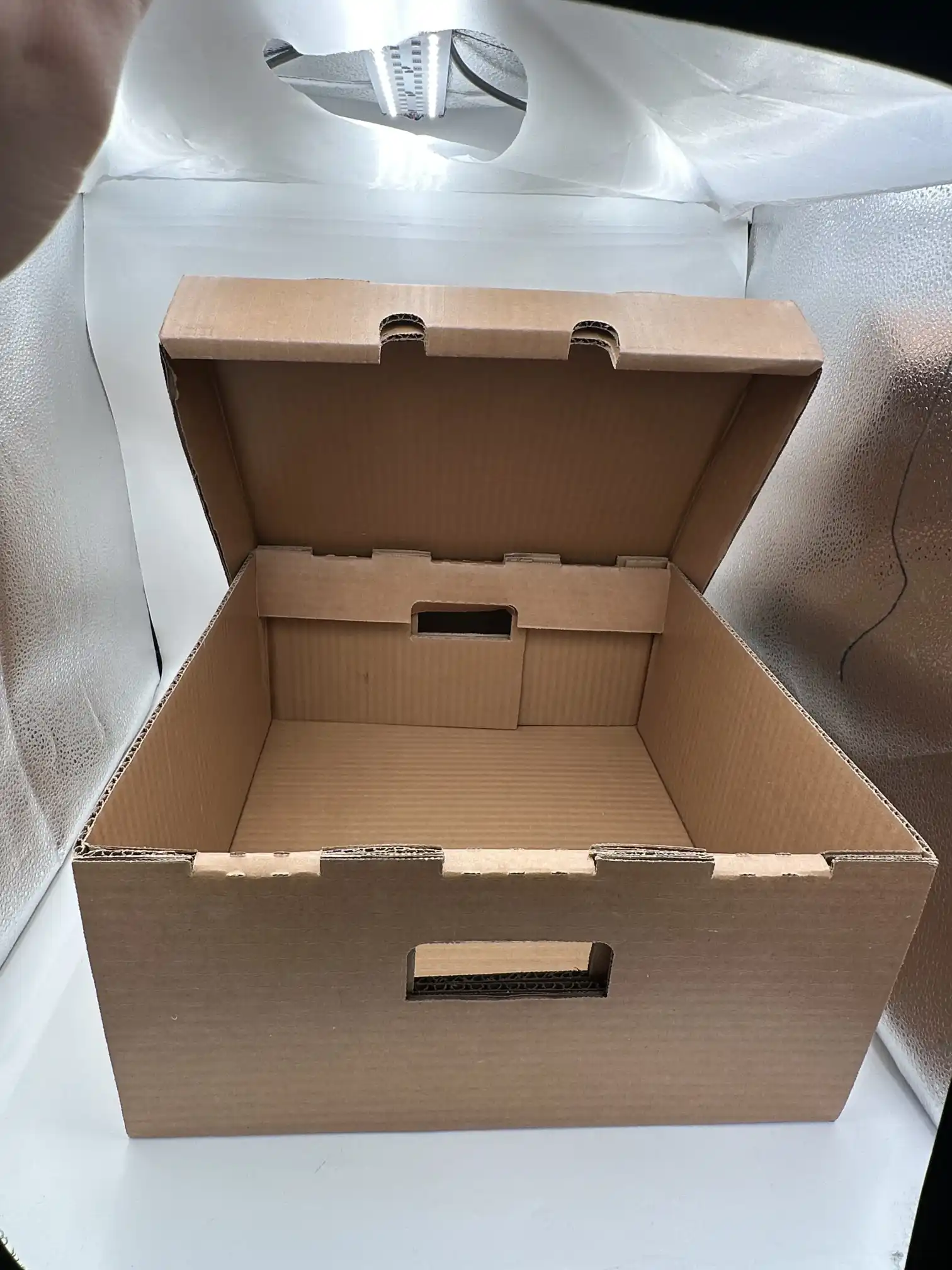 Magna Cerata Corrugated Box